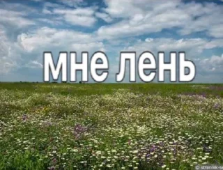 Video sticker 🤩 Больше стиков тут: @stikery4