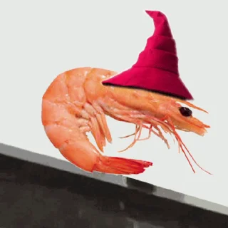 Video sticker 🦐 Anoma