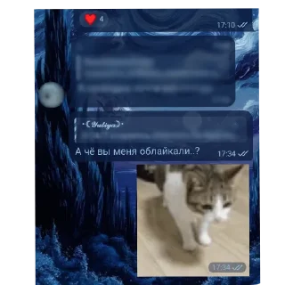 Video sticker 🐱 My Story