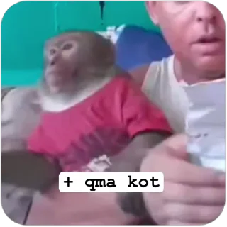 Video sticker 🧶 Orifjanov