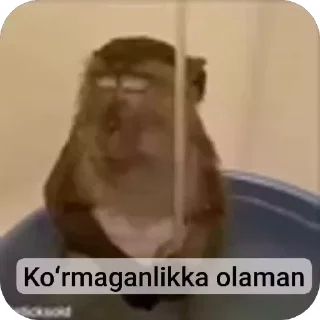 Video sticker 🧑‍🦯 Orifjanov