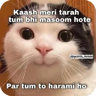Telegram stiker 🐱 Ek baar bhej dala to life jhingalala🌚 @itztadashi
