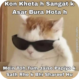 Video sticker 🐱 Ek baar bhej dala to life jhingalala🌚 @itztadashi