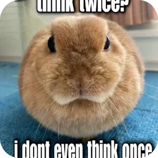 Video sticker 🍓 😈 Лучший чат 👉 @MessageAnonBot