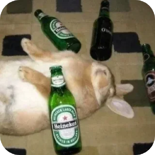 Телеграм стикер 🍺 😈 Лучший чат 👉 @MessageAnonBot