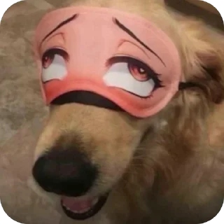 Телеграм стикер 😳 pewpew