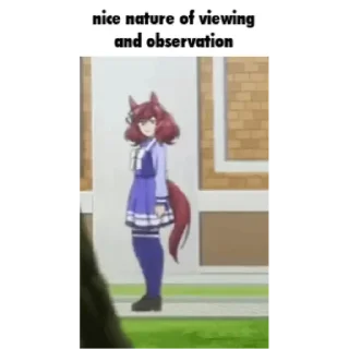 Telegram sticker 😊 Umamusume sillies