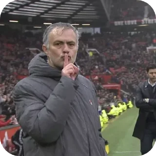 Telegram sticker 📦 Man idk (@x1_idk)