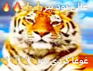 Video sticker 🌾 - @aArchiveOfAsh