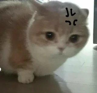 Sticker 〰 𖠌 @SOLenzara ☜︎︎︎ 𝙟𝙤𝙞𝙣