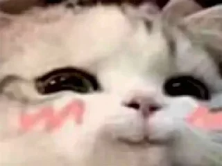 Telegram sticker 〰 𖠌 @SOLenzara ☜︎︎︎ 𝙟𝙤𝙞𝙣