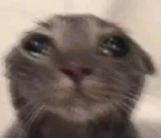 Telegram sticker 〰 𖠌 @SOLenzara ☜︎︎︎ 𝙟𝙤𝙞𝙣