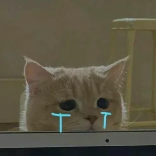 Telegram sticker 〰 𖠌 @SOLenzara ☜︎︎︎ 𝙟𝙤𝙞𝙣