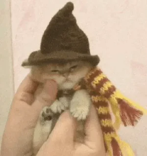 Telegram sticker 〰 𖠌 @SOLenzara ☜︎︎︎ 𝙟𝙤𝙞𝙣