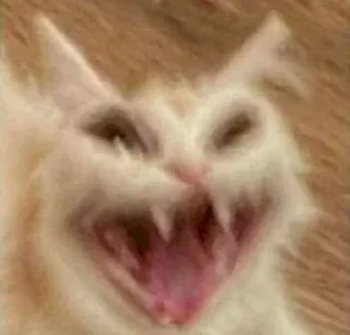 Telegram sticker 〰 𖠌 @SOLenzara ☜︎︎︎ 𝙟𝙤𝙞𝙣