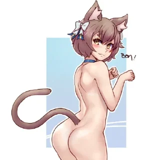 Telegram sticker 🤲 Félix Argyle