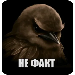 Telegram sticker 🖼 MADE BY @Ptashke_st