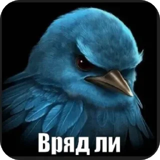 Sticker 🐦 MADE BY @Ptashke_st