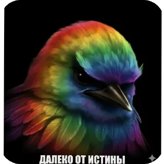 Telegram sticker 🐦 MADE BY @Ptashke_st