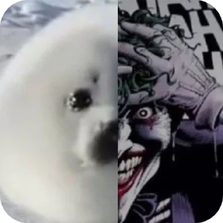 Telegram sticker 🤪 тюленннн🦭🦭