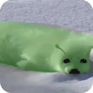 Video sticker 👽 тюленннн🦭🦭