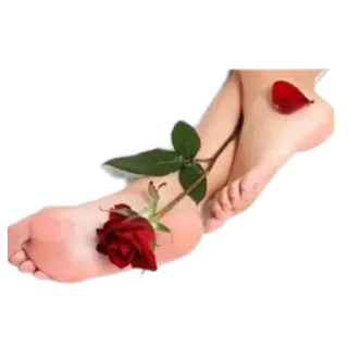 Telegram sticker ✋ Пяточка!! @qpzzw