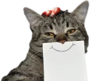 Sticker 😏 Эти ебучие коты (часть 2)