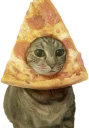 Telegram sticker 🍕 Эти ебучие коты (часть 2)