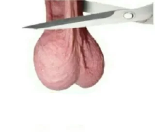 Video sticker ✂️ MEN AIN'T SHIT :: @fStikBot