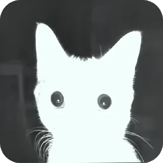 Telegram sticker 🐱 nam