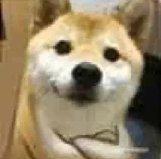 Sticker 🔥 @kanekihellx Kang Pack 1