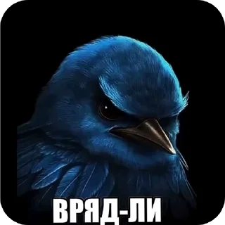 Telegram sticker 🖼 Птицы