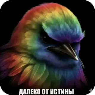 Telegram sticker 🐦 Птицы