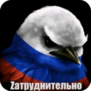 Telegram sticker 🖼 Птицы