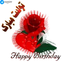 Video sticker 🌹 🎉 پک شماره یک استیکرهای تولد - مرجان 🎊