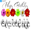 Telegram sticker 🌹 🎉 پک شماره یک استیکرهای تولد - مرجان 🎊