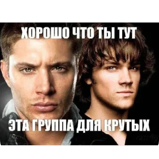 Video sticker 🫥 Anonymous