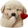 Video sticker 🥰 @ecosynapsee ⌯ �...