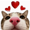Video sticker 🥰 @ecosynapsee ⌯ �...
