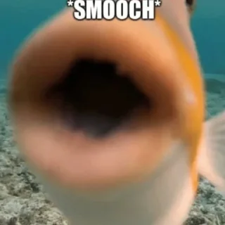 Telegram sticker 😘 Пока не знаю.