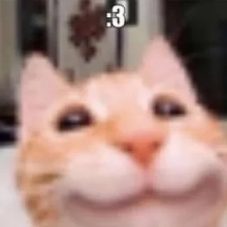 Telegram sticker ☺️ Пока не знаю.