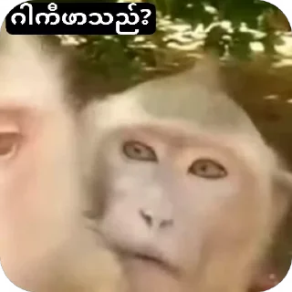 Video sticker 🌟 ဖာသည်မဆိုယူသုံးပါ