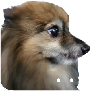 Telegram sticker 😐 MOCHIMANIA