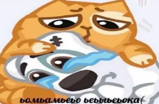 Video sticker 😭 stickers saharovv💘