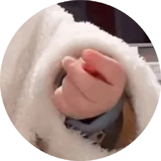 Video sticker 😄 狗推素材大全点击进入👉 @sucaiyo