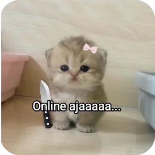 Video sticker 🐱 All about her