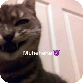 Video sticker 😾 All about her