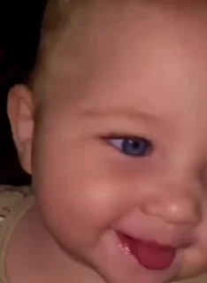 Video sticker 😛 Детёныши4/by БанХаммер