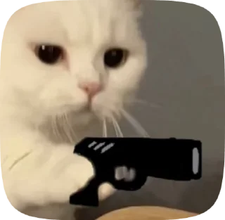 Video sticker 😈 котики