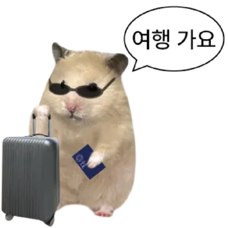 Telegram sticker 👍 @KakaoEmoji 엉뚱이 햄스터